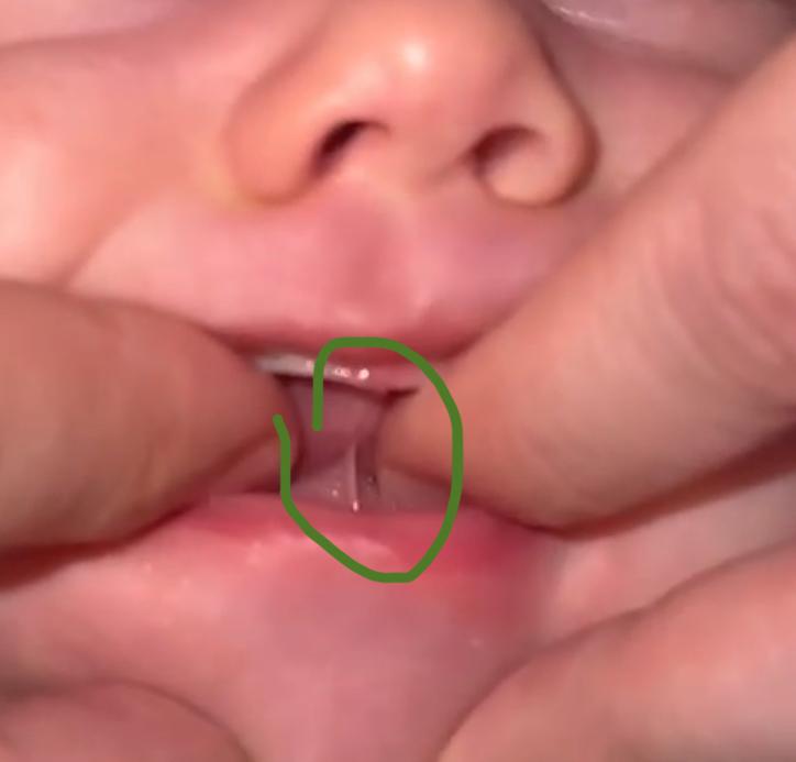 Natürlich entwickeln - Banner 