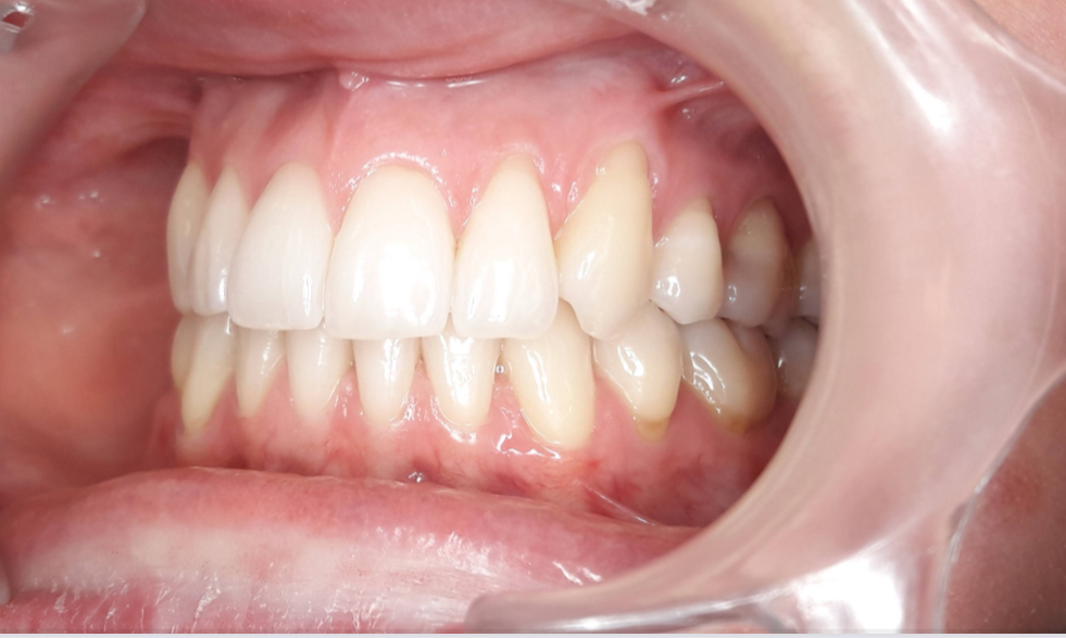 Natürlich entwickeln - Banner 